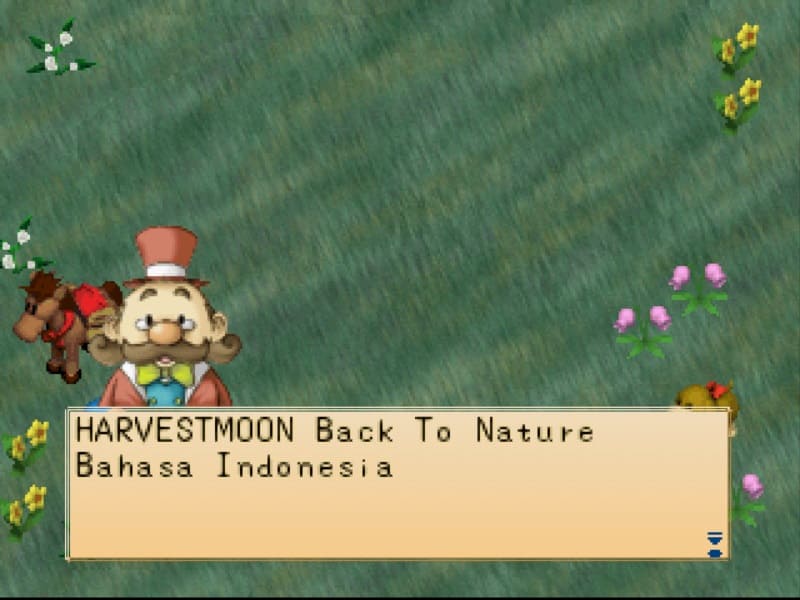 Harvest Moon Back to Nature - Bahasa Indonesia