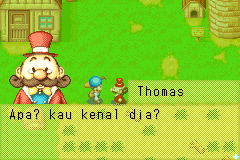 Harvest Moon: Friends of Mineral Town versi Bahasa Indonesia